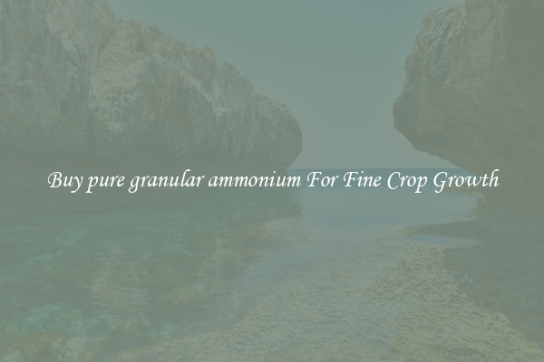 Buy pure granular ammonium For Fine Crop Growth