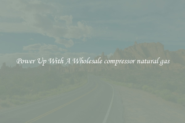 Power Up With A Wholesale compressor natural gas