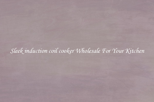 Sleek induction coil cooker Wholesale For Your Kitchen