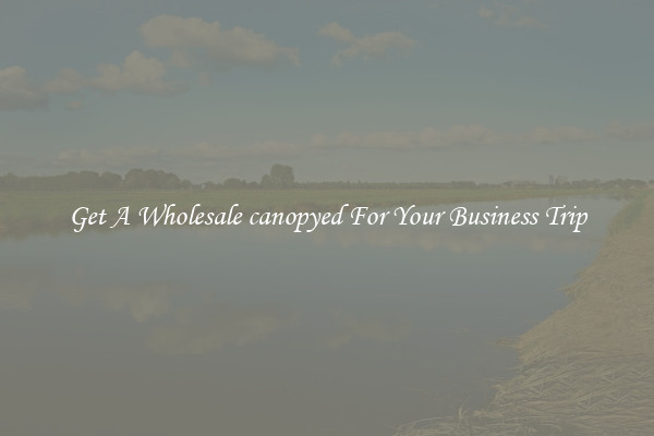 Get A Wholesale canopyed For Your Business Trip