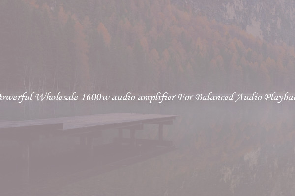 Powerful Wholesale 1600w audio amplifier For Balanced Audio Playback