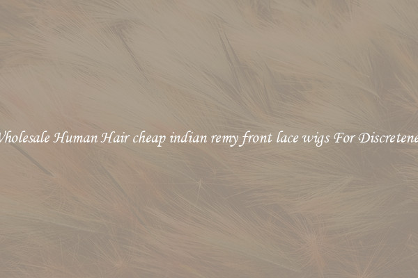 Wholesale Human Hair cheap indian remy front lace wigs For Discreteness