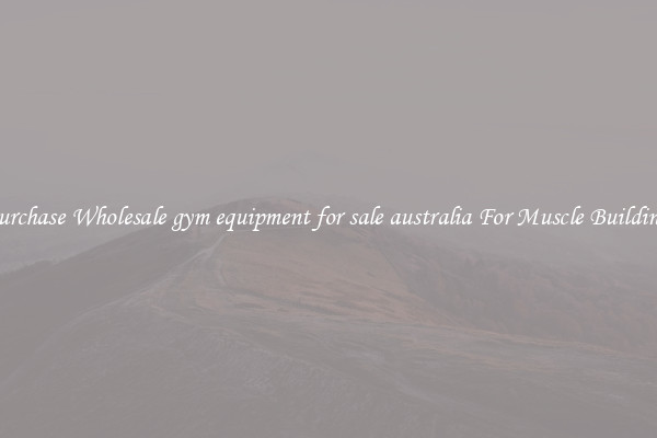 Purchase Wholesale gym equipment for sale australia For Muscle Building.