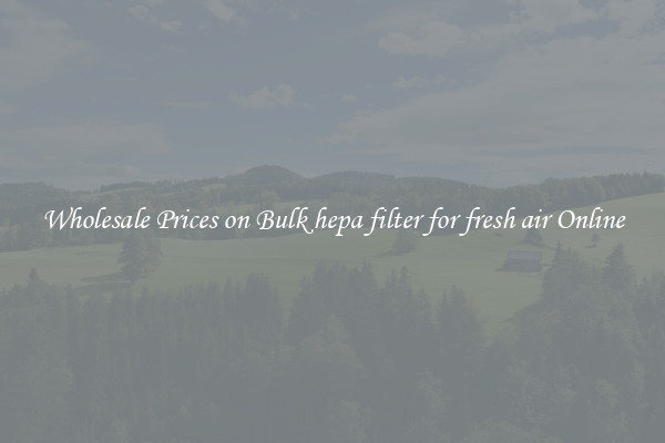 Wholesale Prices on Bulk hepa filter for fresh air Online