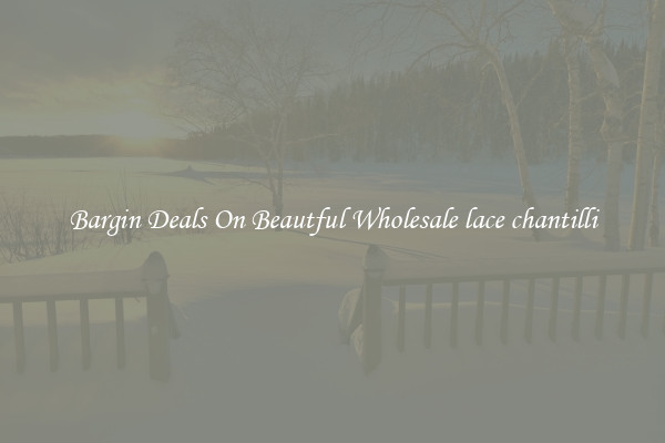 Bargin Deals On Beautful Wholesale lace chantilli