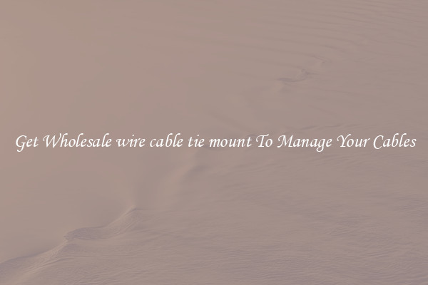 Get Wholesale wire cable tie mount To Manage Your Cables