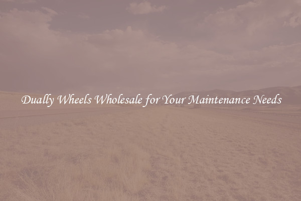 Dually Wheels Wholesale for Your Maintenance Needs