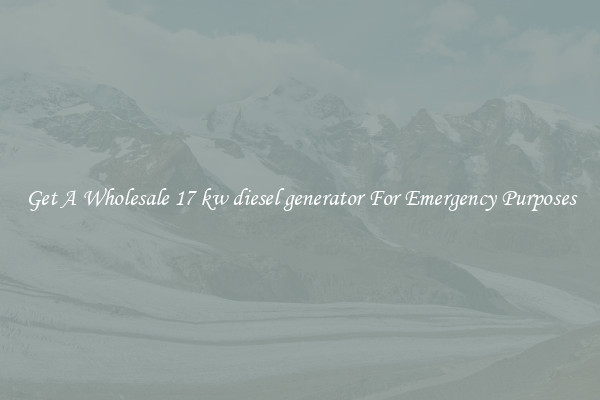 Get A Wholesale 17 kw diesel generator For Emergency Purposes