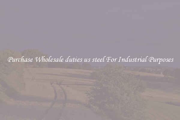 Purchase Wholesale duties us steel For Industrial Purposes
