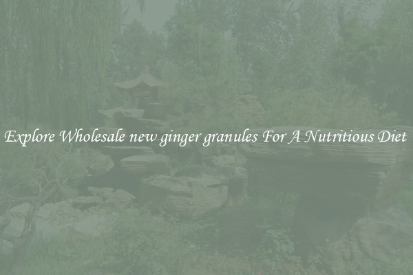 Explore Wholesale new ginger granules For A Nutritious Diet 