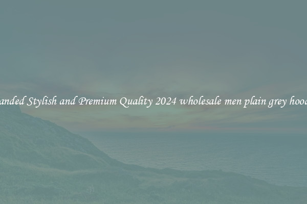 Branded Stylish and Premium Quality 2024 wholesale men plain grey hoodies