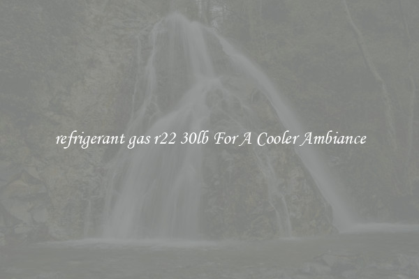 refrigerant gas r22 30lb For A Cooler Ambiance