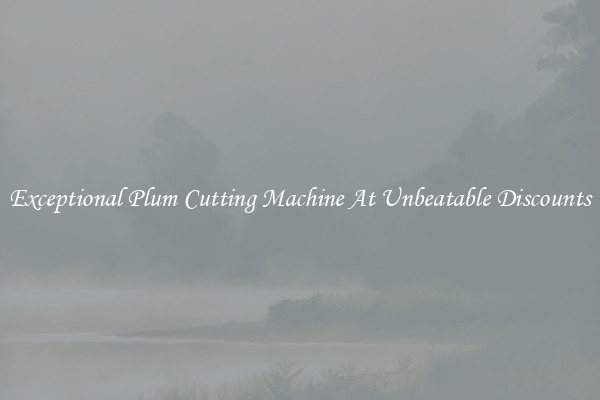 Exceptional Plum Cutting Machine At Unbeatable Discounts