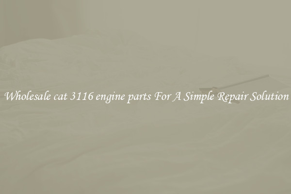 Wholesale cat 3116 engine parts For A Simple Repair Solution