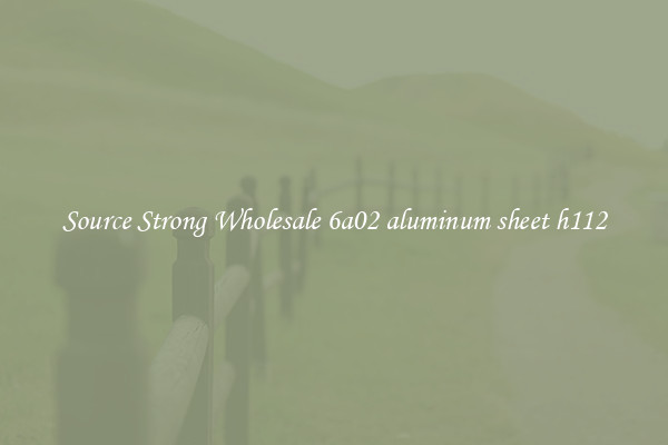 Source Strong Wholesale 6a02 aluminum sheet h112