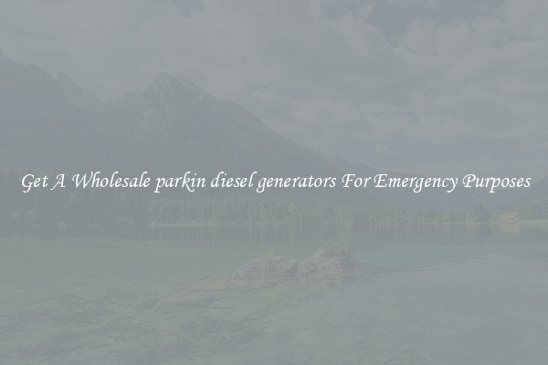Get A Wholesale parkin diesel generators For Emergency Purposes